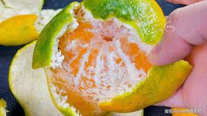 诡异复苏，我被女儿上交国家！