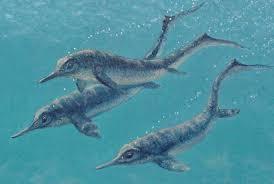 龙族：从融合白垩，开始救世