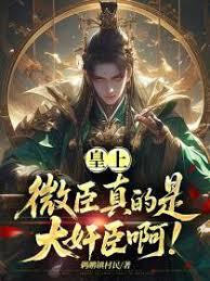 皇上，微臣真的是大奸臣啊！