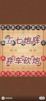 突破金丹失败，抽取家族海克斯