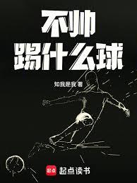 不帅踢什么球