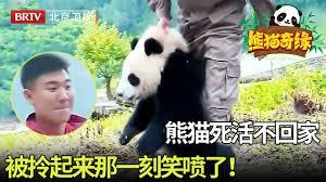 奇诡星环管理员