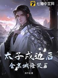 太子戍边后，全京城悔哭了