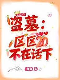 盗墓：区区20，不在话下！