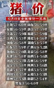 放弃行医后，我激活了大医系统