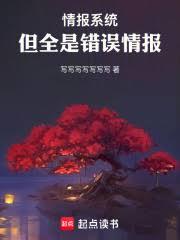 情报系统，但全是错误情报